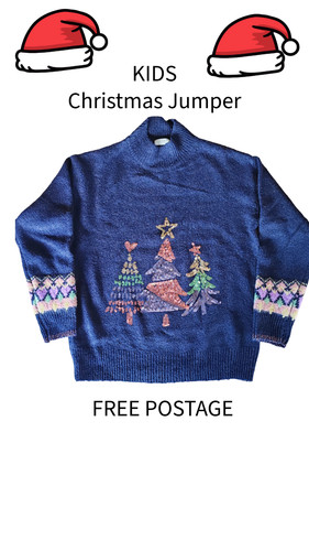 Next kids christmas jumper - kids,