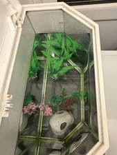 medium fish tank, can hold any