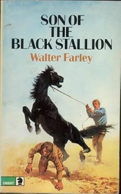 Son the black stallion - son,