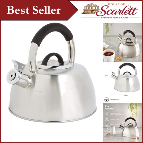 Stainless steel whistling - steel,