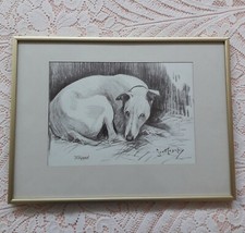 FRAMED AND GLAZED WHIPPET DOG PRINT