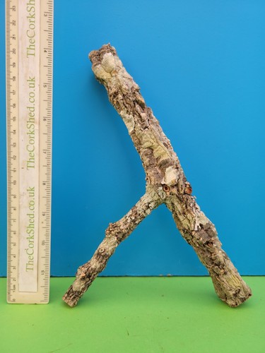 Cork bark branch - cork, snake