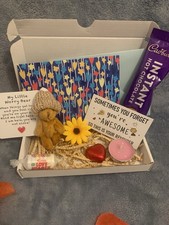 Bear Pocket Hug Thoughtful