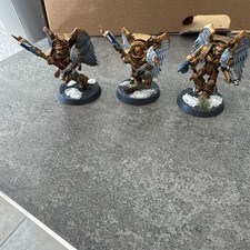 Blood Angels Sanguinary Guard