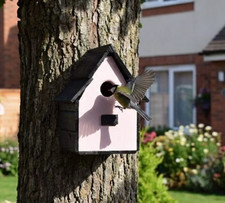 Vintage Rose ~~ Bird House