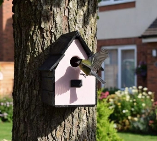 Vintage rose bird - ~~, house