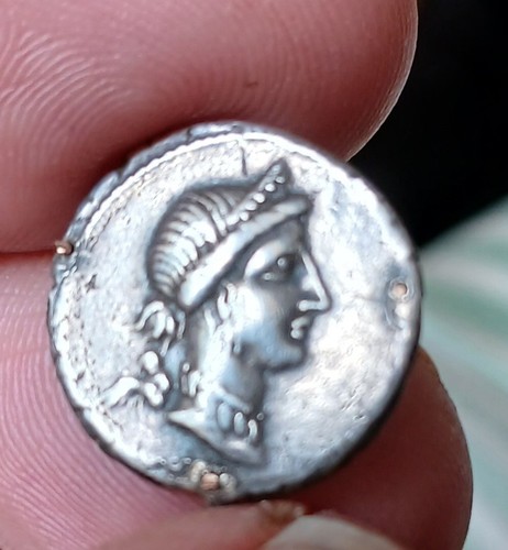 Julius ceasar denarius 46 - ceasar,