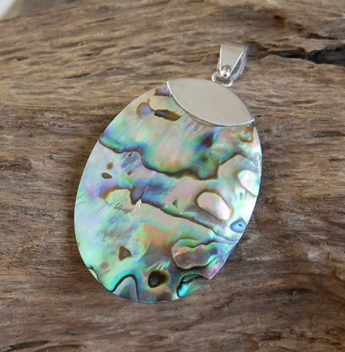 Oval paua abalone shell - oval,