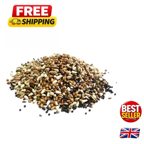 200g pigeon condition seed - condition,