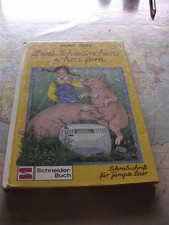 Zwei Schweinchen sehen fern