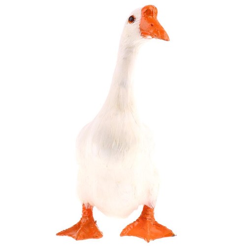 Highly detailed yard - detailed, animal