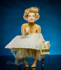 Franklin Mint Porcelain
