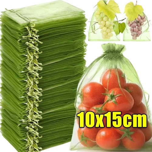 Fruit protection bags - protection, green