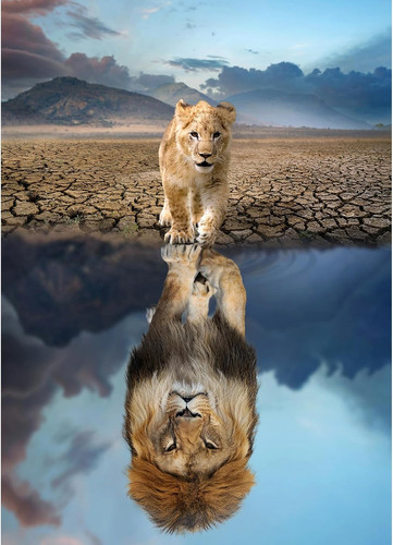 Jigsaw puzzles for - puzzles, adults