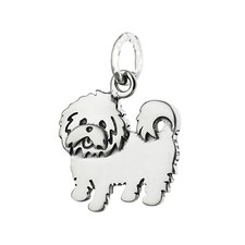 Maltese Toy Dog Breed Puppy