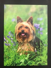 Blank card women female, men