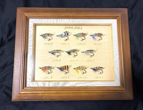 Rare hardy salmon - hardy, display