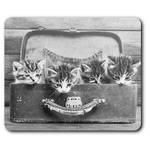 Rectangle mouse mat cute - mouse,