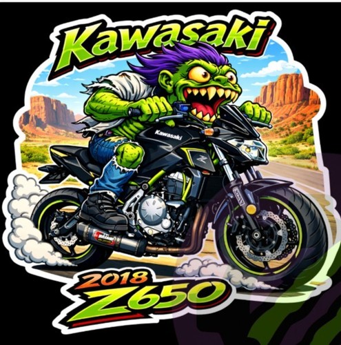 2018 kawasaki z650 9x9cm - kawasaki,