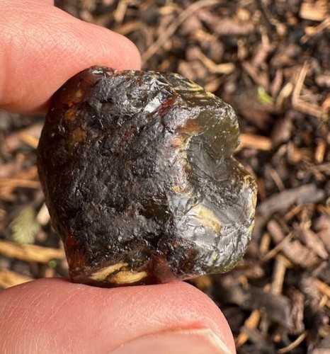 Natural rough raw amber - natural,