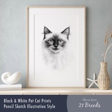 Black & White Cat Print –