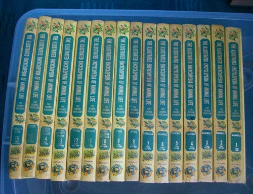 Volume set new - volume,