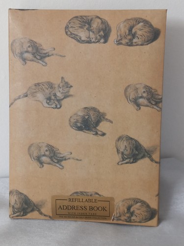 Unused six studies cat - six,