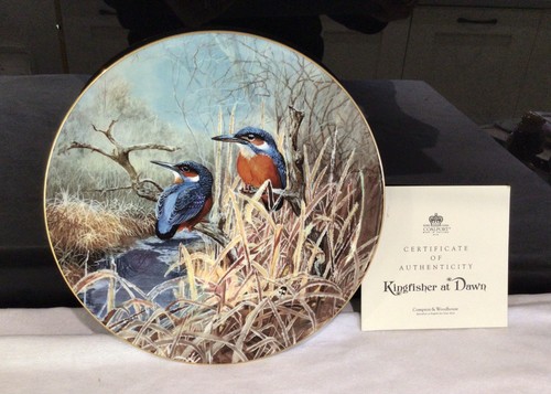 Coalport winter kingfisher - winter,