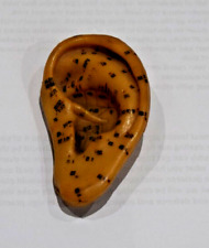 Ear Acupuncture Model Auricular Training massage TCM Chinese Medicine Vintage