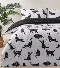 Black & White Celestial Cats