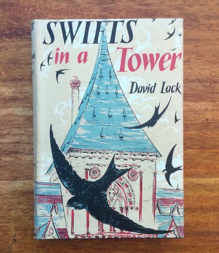 Swifts tower david lack - tower,