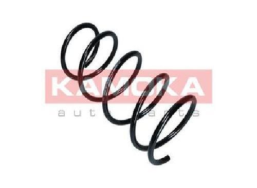 Original kamoka suspension - 2x,