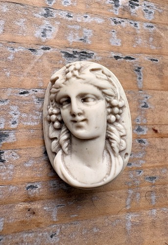 Vintage 1960s plastic cameo - 1960s,