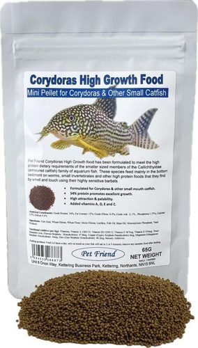 Corydoras catfish high growth - corydoras,