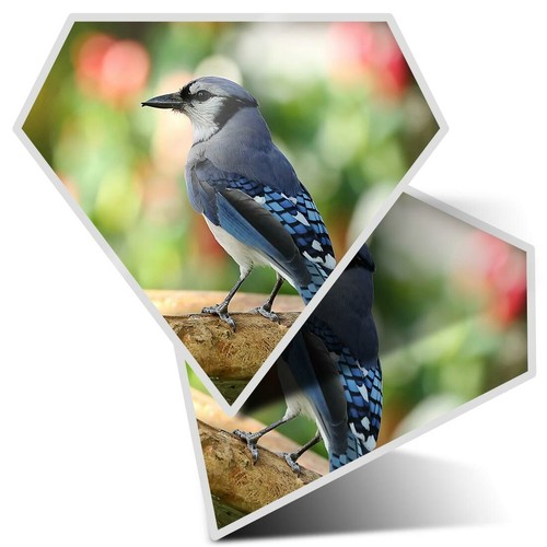Diamond stickers - x,