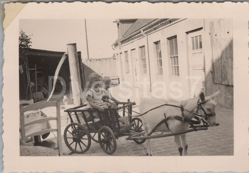 Photo children with goat - photo,, cart