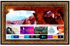 TV in Disguise Framed Mirror