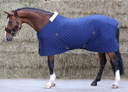 Kentucky winter stable rug - winter,