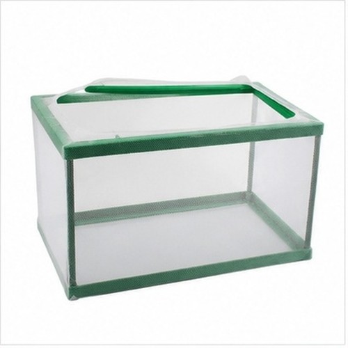 Aquarium fish breeding tank - aquarium,