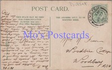 Genealogy Postcard - Furse?, Woodbine Cottage, Woodbury, Devon GL2047