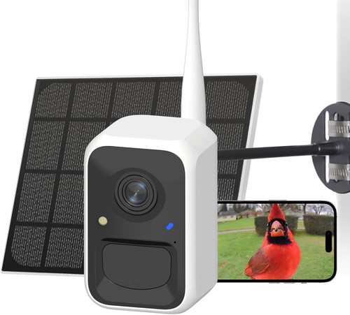 Birdfy smart solar - smart, bird