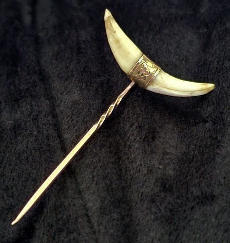 Antique victorian fox tooth - fox,