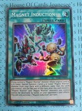Magnet Induction KICO-EN009