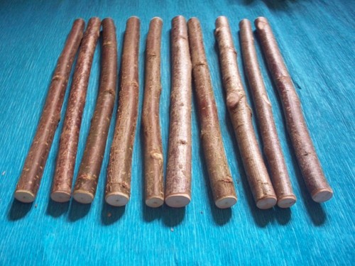 Hazel wood craft sticks - x,