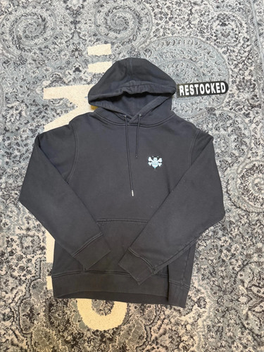 Dior shawn stussy 2020 - x, bee