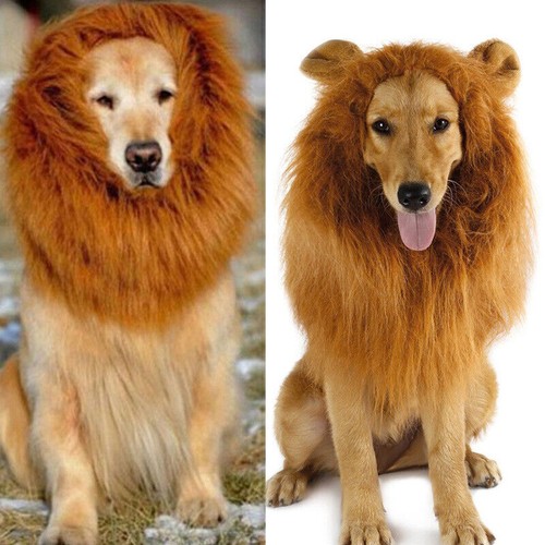 Large dog costume lion mane - large,
