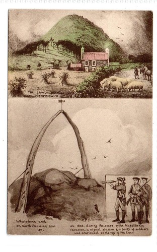 Whale bone arch north - whale,