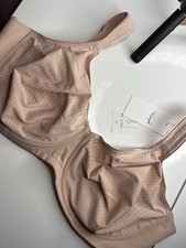Triumph Women's Modern Soft