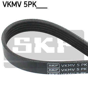 Ribbed belts for - belts,