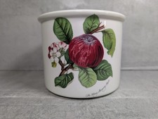 Portmeirion pomona plant - plant, pot